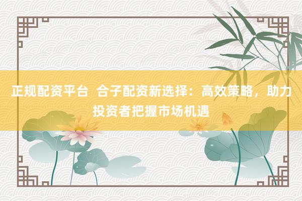 正规配资平台  合子配资新选择：高效策略，助力投资者把握市场机遇
