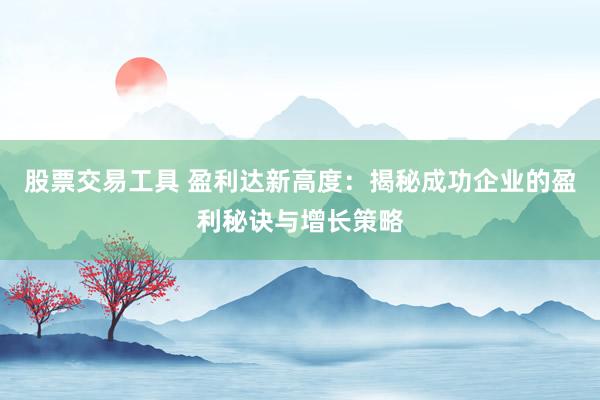 股票交易工具 盈利达新高度：揭秘成功企业的盈利秘诀与增长策略