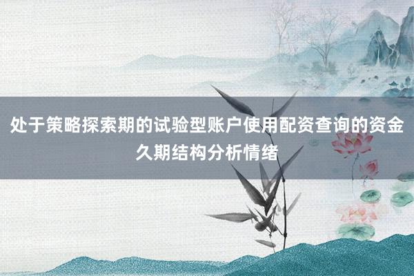 处于策略探索期的试验型账户使用配资查询的资金久期结构分析情绪