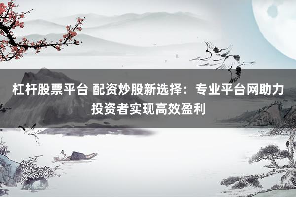 杠杆股票平台 配资炒股新选择：专业平台网助力投资者实现高效盈利