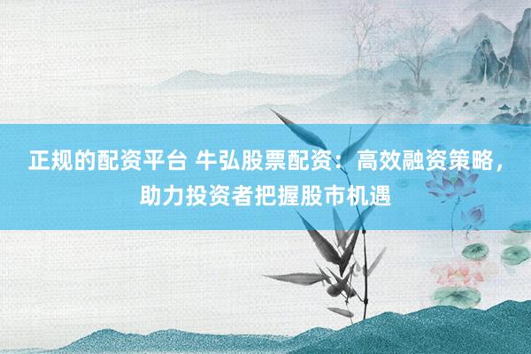 正规的配资平台 牛弘股票配资：高效融资策略，助力投资者把握股市机遇