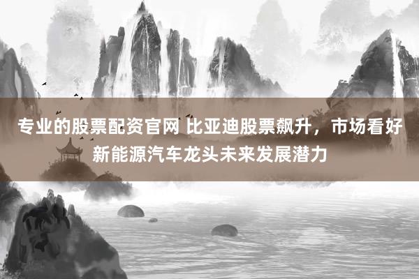 专业的股票配资官网 比亚迪股票飙升，市场看好新能源汽车龙头未来发展潜力