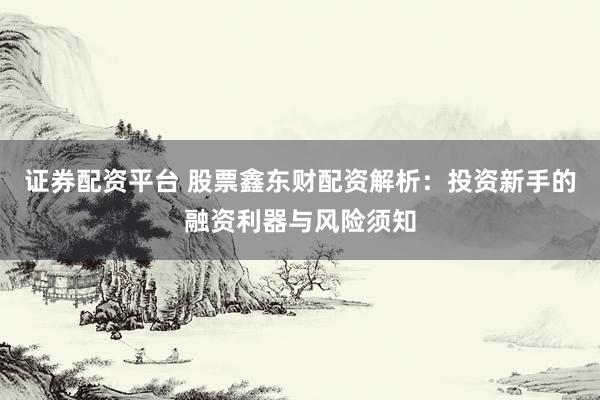 证券配资平台 股票鑫东财配资解析：投资新手的融资利器与风险须知