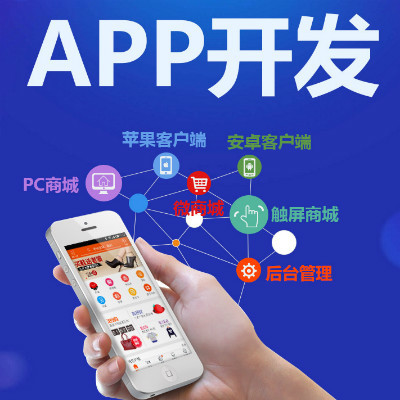 APP在线制作网站公司「价格 案例 报价」